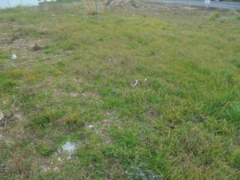 Terreno Oliveira do Bairro