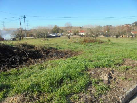 Terreno Avelãs de Caminho