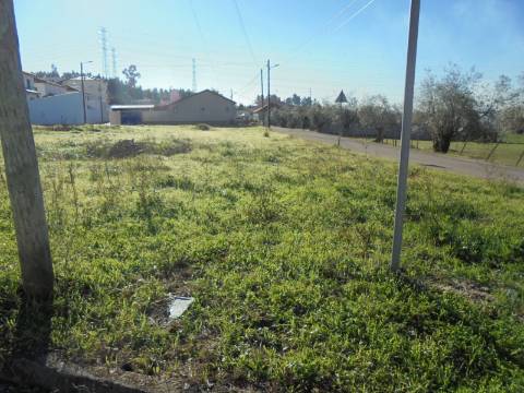 Terreno Avelãs de Caminho