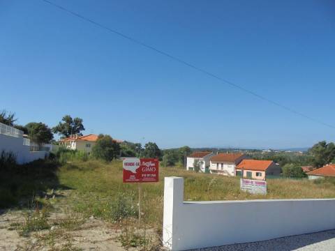 Terreno Oliveira do Bairro