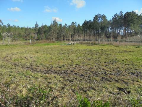 Casa de Campo exclusivamente para abrigo de animais e ferramentas