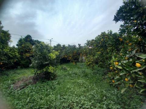 Moradia para reabilitar