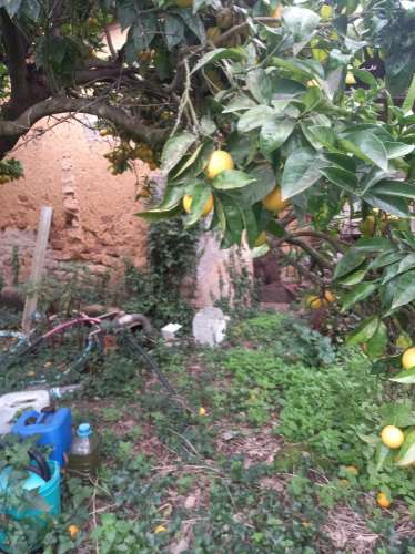 Moradia para reabilitar