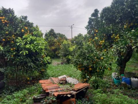 Moradia para reabilitar