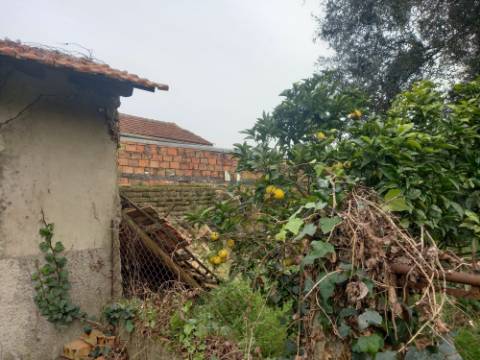 Moradia para recuperar