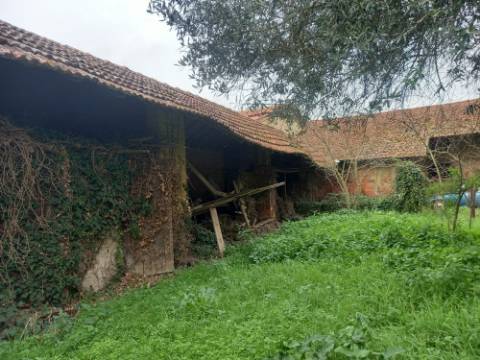 Moradia para recuperar