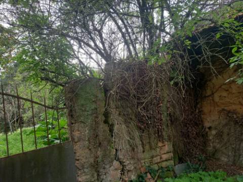 Moradia para recuperar