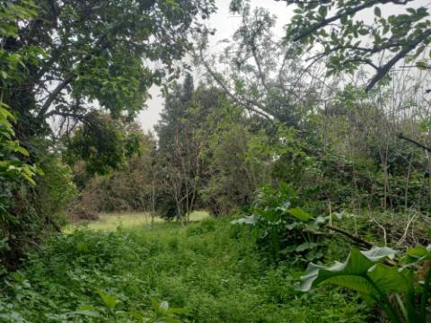 Moradia para recuperar