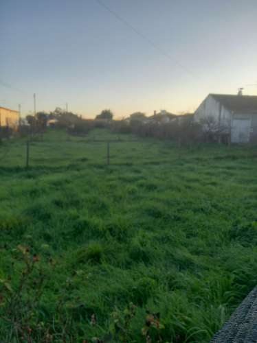 Terreno rústico