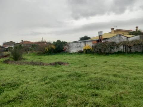 Terreno rústico