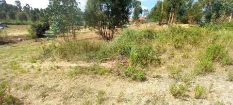 Terreno industrial para venda em Oiã