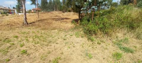 Terreno industrial para venda em Oiã