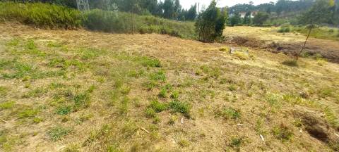 Terreno industrial para venda em Oiã