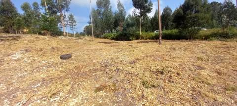 Terreno industrial para venda em Oiã