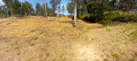 Terreno industrial para venda em Oiã