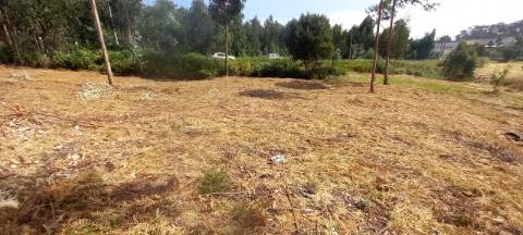 Terreno industrial para venda em Oiã