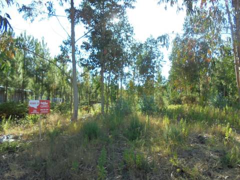 Terreno Oliveira do Bairro