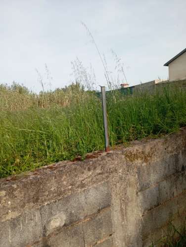 Terreno em Oiã