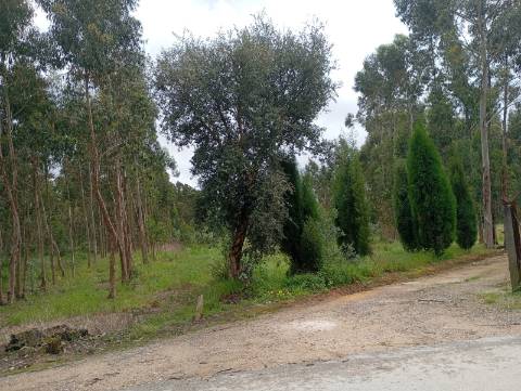 Terreno em Oiã