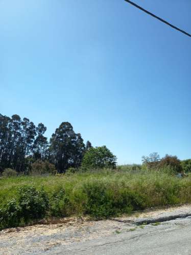 Terreno em Oiã