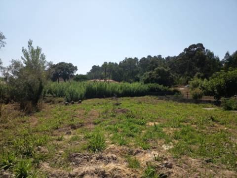 Terreno com Casa Móvel