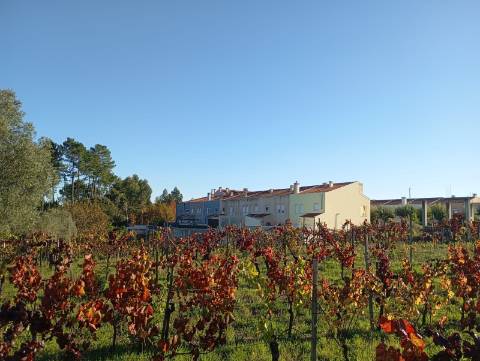 Terreno em Oiã