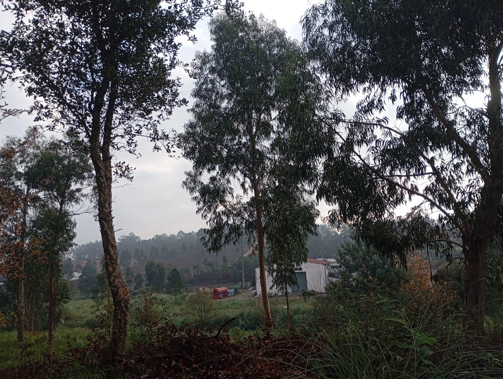 Terreno Urbano em Oiã