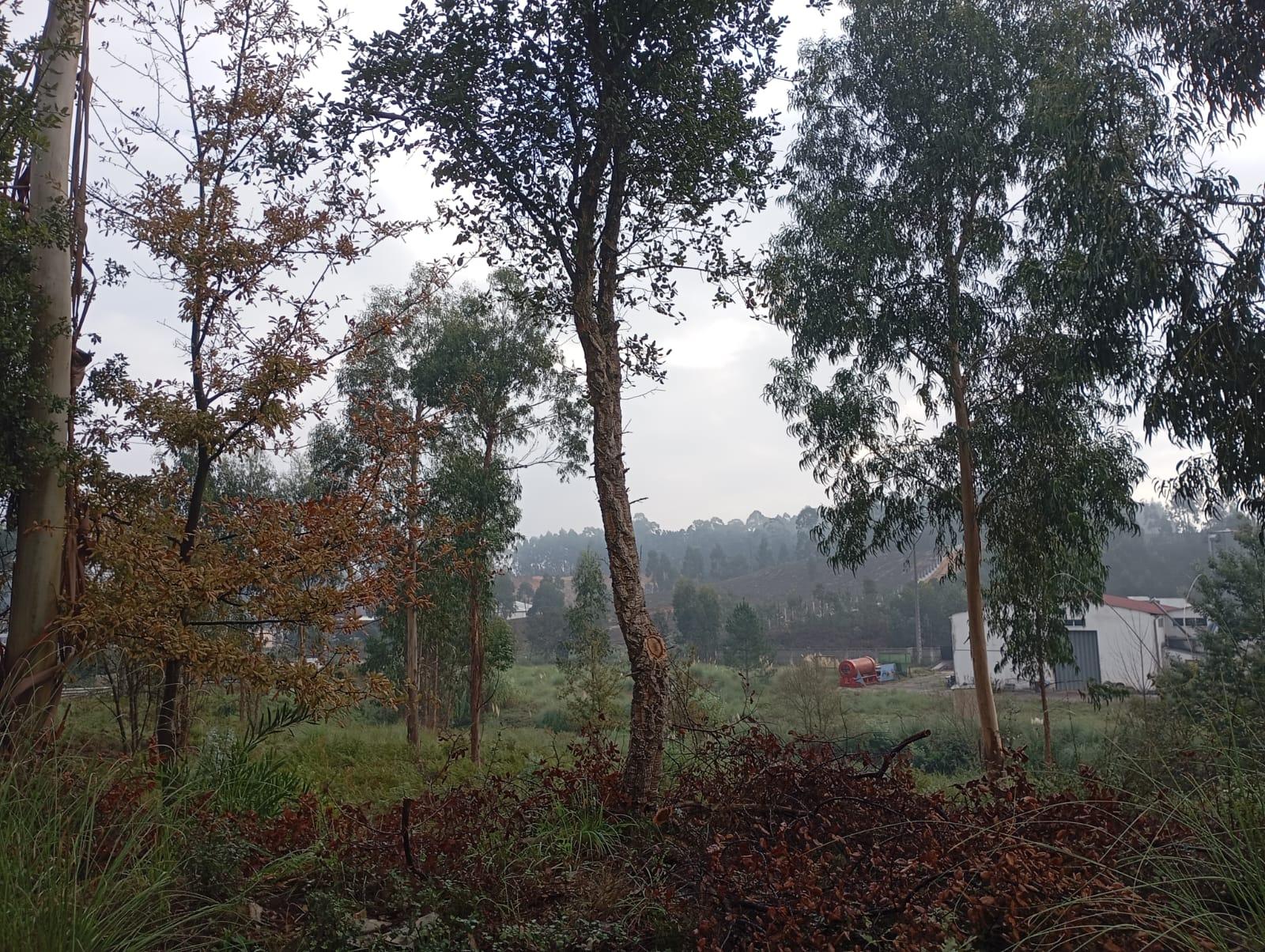 Terreno Urbano em Oiã