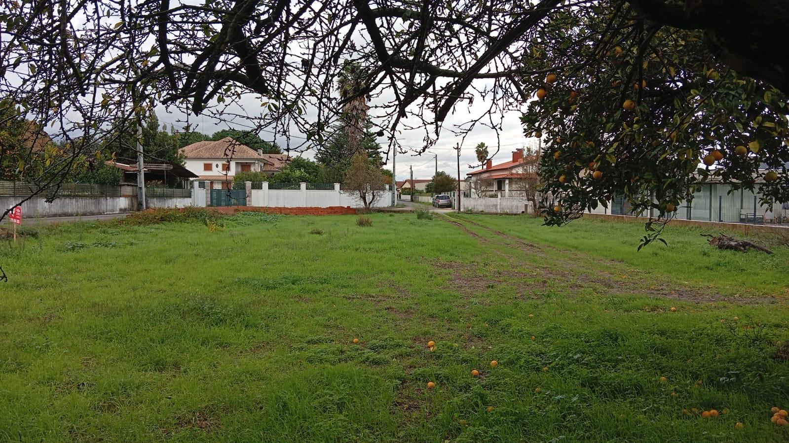 Terreno de 2.515 m² para Construção de Moradia em Oiã