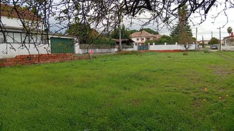 Terreno de 2.515 m² para Construção de Moradia em Oiã