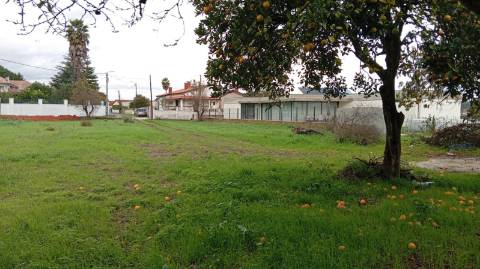 Terreno de 2.515 m² para Construção de Moradia em Oiã