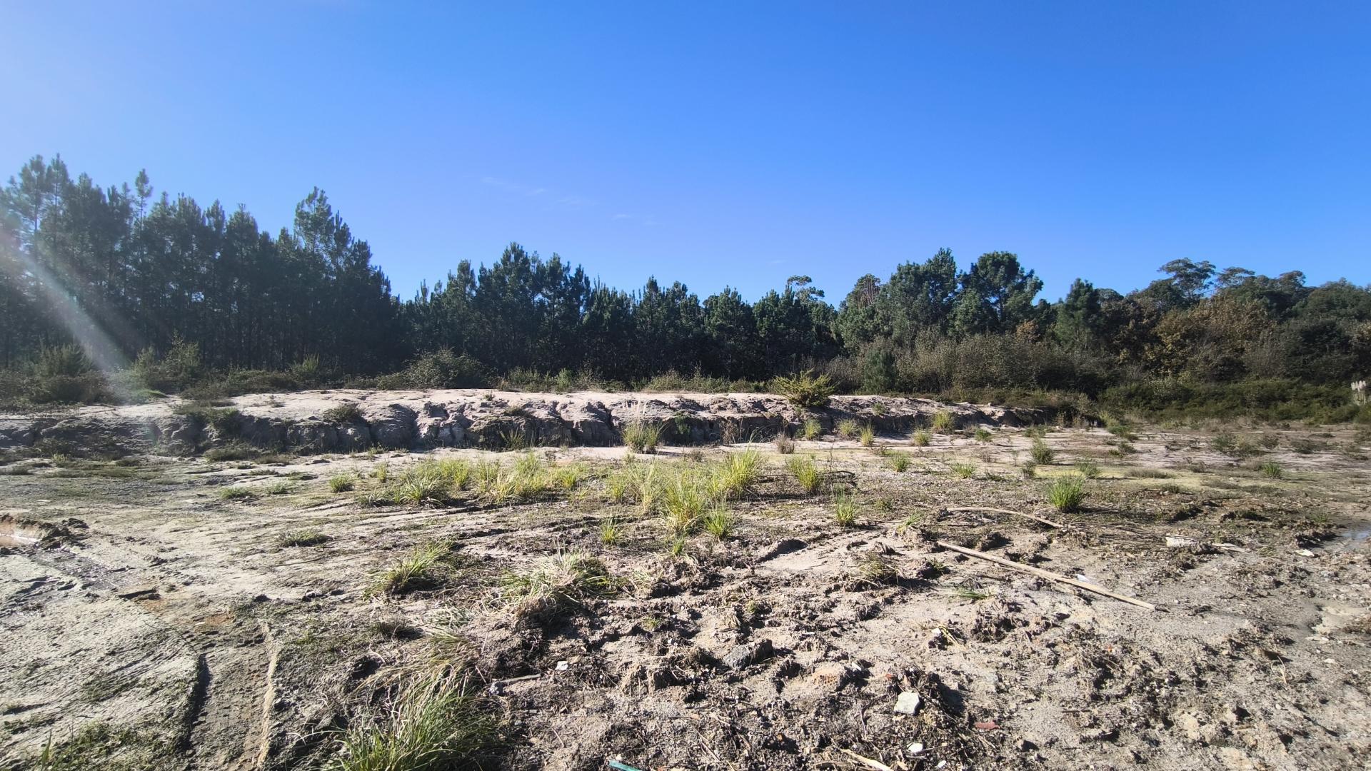 Oportunidade Única: Terreno para Construção em Oliveira do Bairro, a 25 min de Aveiro!