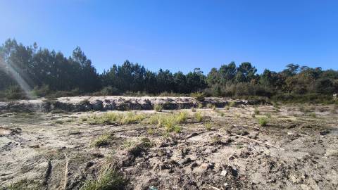 O Terreno Perfeito Para Construir a Casa dos Seus Sonhos em Oliveira do Bairro!