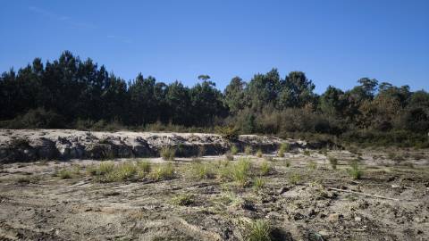 O Terreno Perfeito Para Construir a Casa dos Seus Sonhos em Oliveira do Bairro!