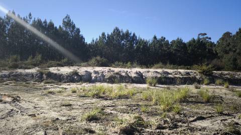 O Terreno Perfeito Para Construir a Casa dos Seus Sonhos em Oliveira do Bairro!