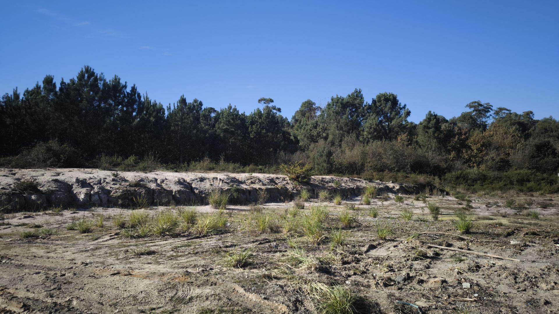 Oportunidade Rara: 1.397 m² Para Transformar Ideias em Realidade Descubra este Terreno Magnífico!