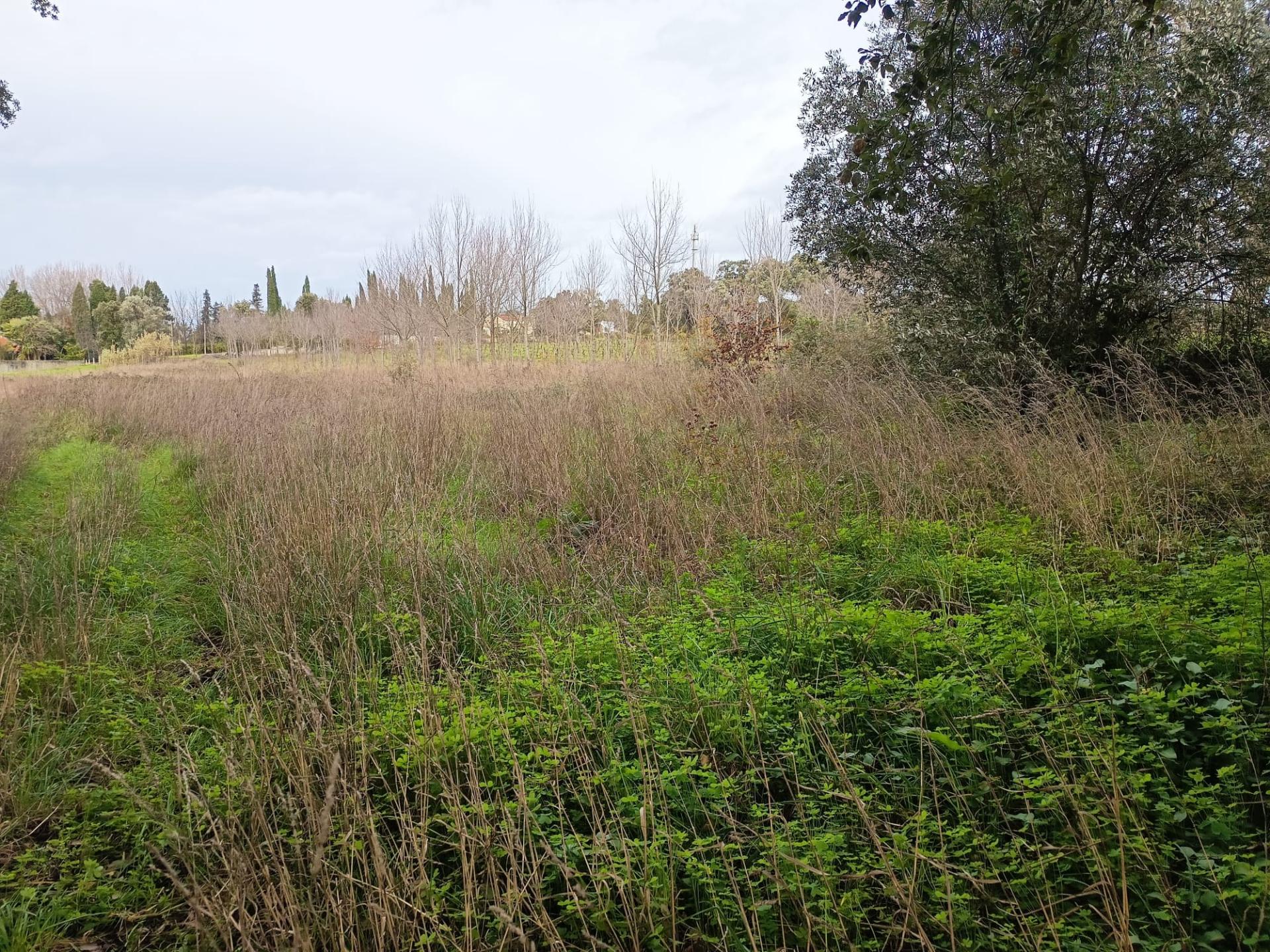 Terreno misto com 7000m2