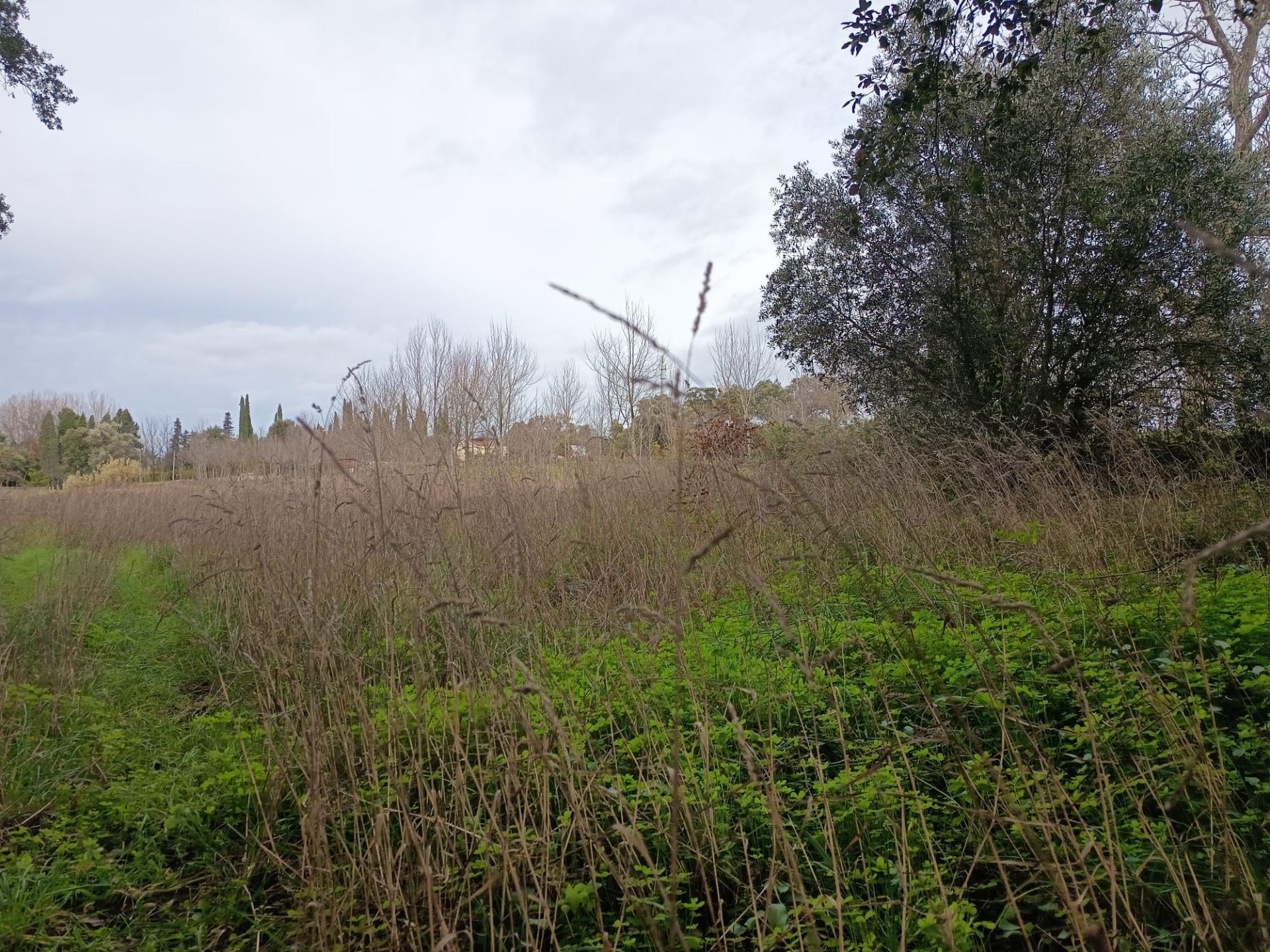 Terreno misto com 7000m2