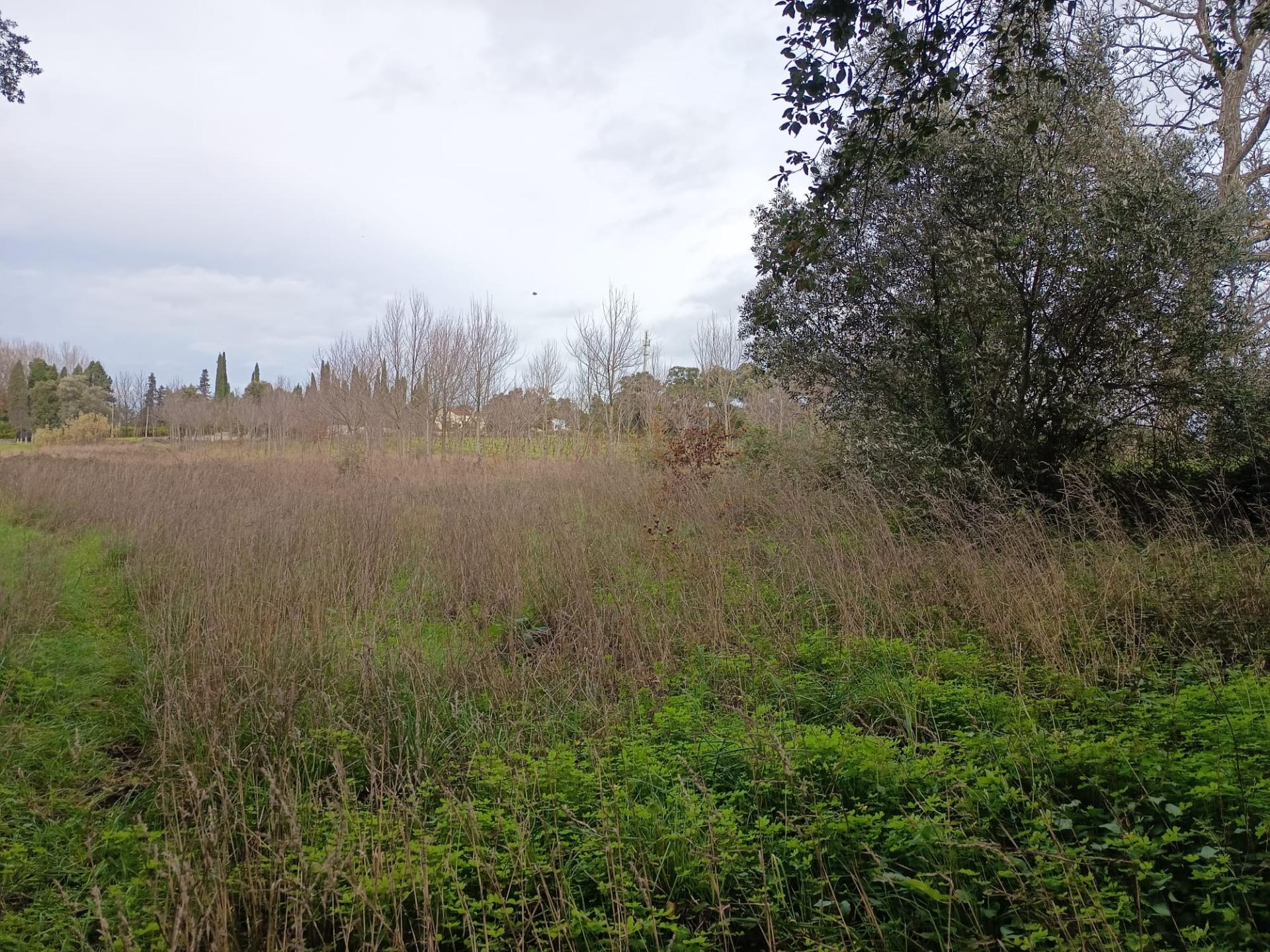 Terreno misto com 7000m2