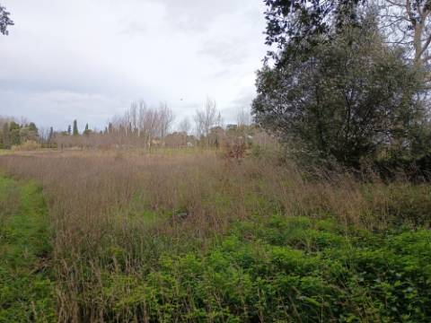 Terreno misto com 7000m2