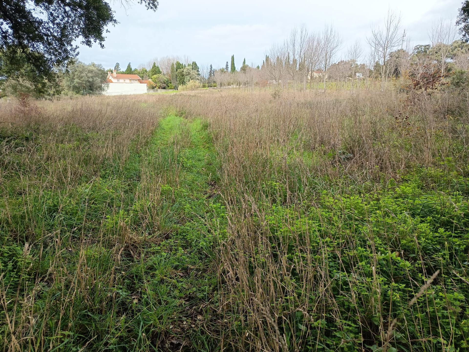 Terreno misto com 7000m2