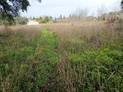 Terreno misto com 7000m2