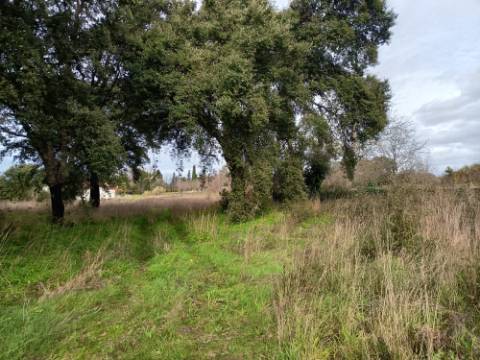 Terreno misto com 7000m2