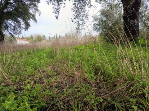 Terreno misto com 7000m2