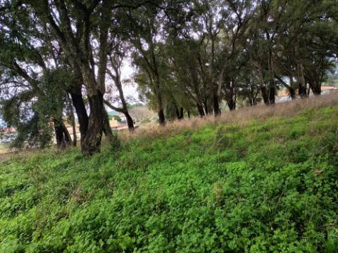 Terreno misto com 7000m2