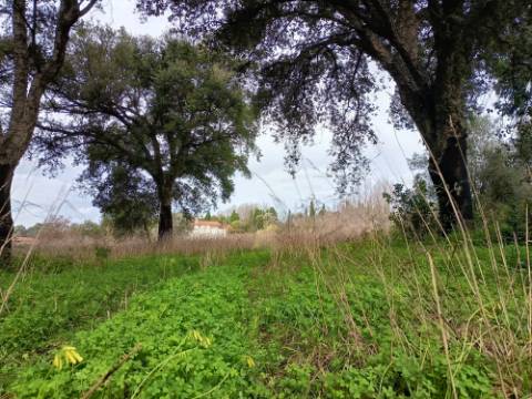 Terreno misto com 7000m2