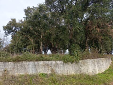 Terreno misto com 7000m2