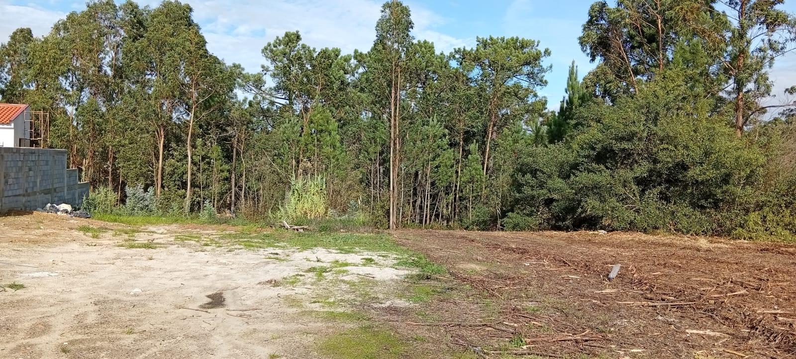 Terreno para construção de Moradia no Troviscal