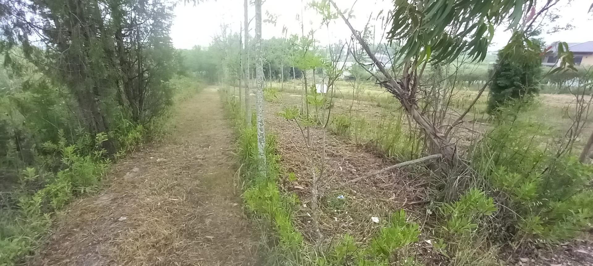 Terreno para venda Em Paredes do Bairro