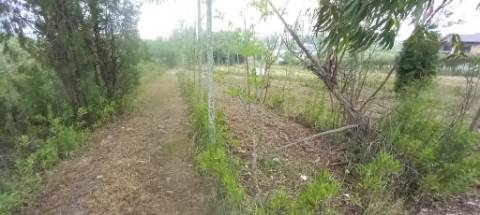 Terreno para venda Em Paredes do Bairro